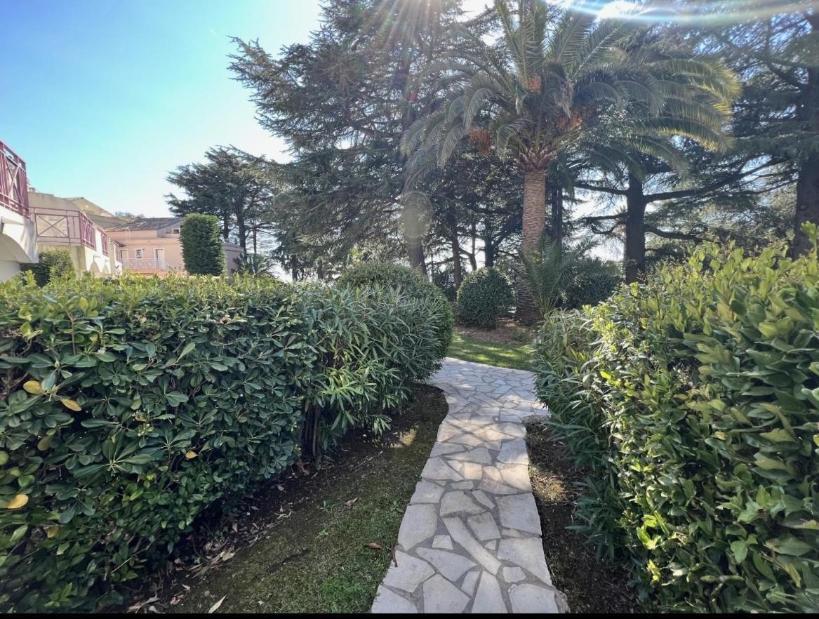 Gabrielle Appartements Cannes Rum bild